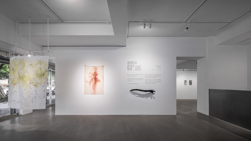 當細語在黑暗繁殖｜王千華個展｜王千華｜國藝會補助成果檔案庫
